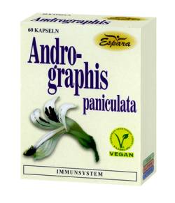 ANDROGRAPHIS PANICULATA Kapseln 28 g von Espara GmbH