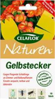 CELAFLOR Gelbstecker 10 St von Evergreen Garden Care Deutschland GmbH
