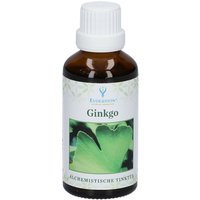 Evolution® Ginkgo von Evolution