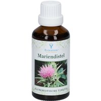 Evolution® Mariendistel von Evolution