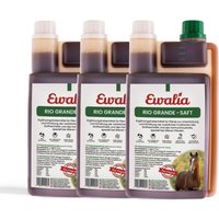 Ewalia Rio Grande Saft für Pferde Dreierpack von Ewalia