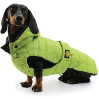 Fashion Dog wasserdichter Hunde-Steppmantel speziell für Dackel von Fashion Dog