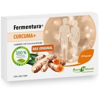 Fermentura Curcuma Plus Kapseln von Fermentura