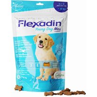 Flexadin® Young Dog Maxi von Flexadin