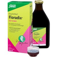 Kräuterblut® Floradix® mit Eisen von Floradix