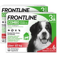 Frontline Combo® Spot on gegen Flöhe und Zecken Hund XL über 40kg von Frontline