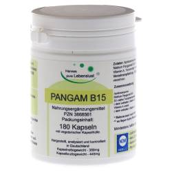 PANGAM Vitamin B15 Vegi Kapseln 180 St Kapseln von G & M Naturwaren Import GmbH & Co. KG