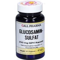 Glucosaminsulfat 250 mg GPH Kapseln von GALL PHARMA
