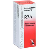 Dysmenorrhoe Gastreu S R 75 Tropfen zum Einnehmen von Gastreu