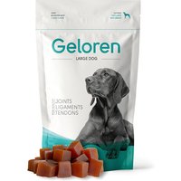 Geloren® Hyaluron Gelenk von Geloren