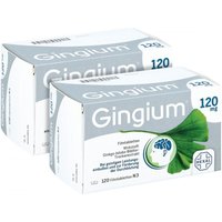 Gingium 120 mg Filmtabletten von Gingium