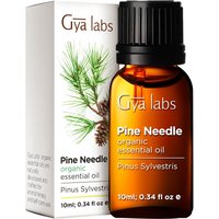 Gya Labs Ätherisches Kiefernöl für Diffuser von Gya Labs