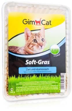 Gimpet Soft Gras Für Katzen 100 G von H. VON GIMBORN GmbH