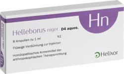 HELLEBORUS NIGER D 4 aquos.Ampullen 8 St von HELIXOR Heilmittel GmbH