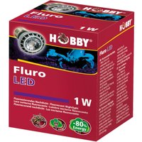 Hobby Fluro LED - Fluoreszierendes Nachtlicht von HOBBY Terraristik