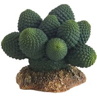 Hobby Kaktus Atacama von HOBBY Terraristik