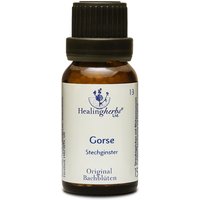 Healing Herbs Gorse Original Bachblüten Globuli von Healing Herbs