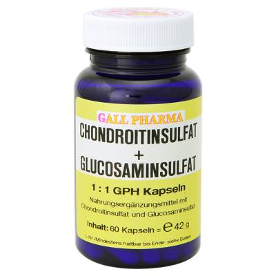 "CHONDROITINSULFAT+Glusosaminsulfat 1:1 GPH Kapseln 60 Stück" von "Hecht Pharma GmbH"