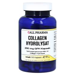 "COLLAGEN HYDROLYSAT 280 mg GPH Kapseln 120 Stück" von "Hecht Pharma GmbH"