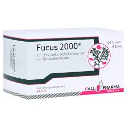 "FUCUS 2000 Kapseln 120 Stück" von "Hecht Pharma GmbH"