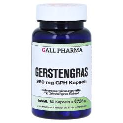 "GERSTENGRAS 250 mg GPH Kapseln 60 Stück" von "Hecht Pharma GmbH"