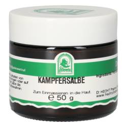 KAMPFERSALBE 50 g von Hecht-Pharma GmbH