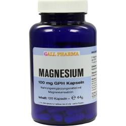 MAGNESIUM 100 mg Kapseln von Hecht Pharma GmbH
