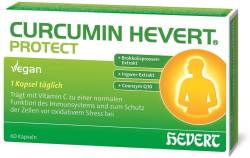 Curcumin Hevert Protect 60 Kapseln von Hevert Arzneimittel GmbH &