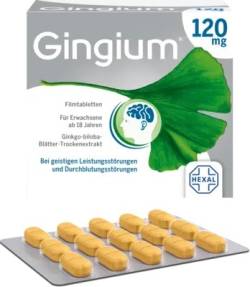 GINGIUM intens 120 mg Filmtabletten 120 St von Hexal AG