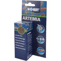 Hobby Artemia-Eier von Hobby Aquaristik