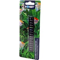 Hobby Digitalthermometer für Aquarien von Hobby Aquaristik