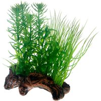 Hobby Flora Root 2 von Hobby Aquaristik