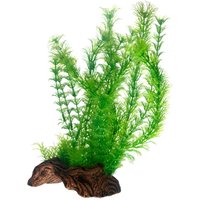 Hobby Flora Root 3 von Hobby Aquaristik