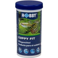 Hobby Guppy Fit - unterstützt die Heilung weißer Flecken von Hobby Aquaristik