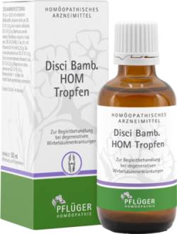 DISCI Bamb HOM Tropfen 50 ml von Hom�opathisches Laboratorium Alexander Pfl�ger GmbH & Co. KG