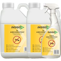 Insigo Ameisenspray gegen Ameisen, fliegende / kriechende Ameisen und deren Larven & Eier von INSIGO