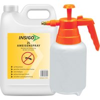 Insigo Ameisenspray gegen Ameisen, fliegende / kriechende Ameisen und deren Larven & Eier von INSIGO