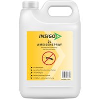 Insigo Ameisenspray gegen Ameisen, fliegende / kriechende Ameisen und deren Larven & Eier von INSIGO