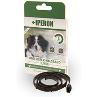 Iperon® Flohhalsband Hund klein 60 cm von IPERON