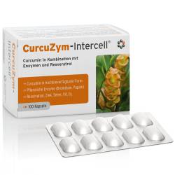 Curcuzym-intercell Kapseln von Intercell-Pharma GmbH
