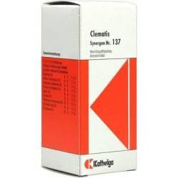SYNERGON KOMPLEX 137 Clematis Tropfen 50 ml von Kattwiga Arzneimittel GmbH