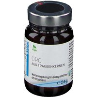 OPC Traubenkern 200 mg von LIFE LIGHT