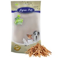 Lyra Pet® Kleine Fische von LYRA PET