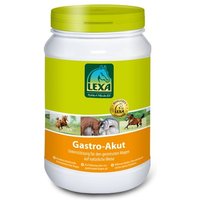 Lexa Gastro-Akut von Lexa