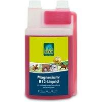 Lexa Magnesium-B12-Liquid von Lexa