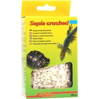Lucky Reptile - Bio Calcium Sepia Stücke von Lucky Reptile