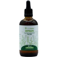 Lymeherbs Cryptolepis-Tinktur 1:2 von Lymeherbs