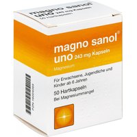 Magno Sanol uno 243 mg Kapseln von Magno Sanol