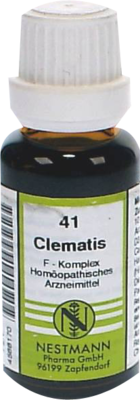 CLEMATIS F Komplex Nr.41 Dilution 20 ml von NESTMANN Pharma GmbH