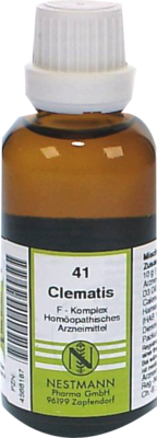 CLEMATIS F Komplex Nr.41 Dilution 50 ml von NESTMANN Pharma GmbH